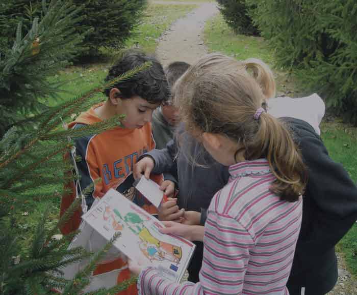 Course d'orientation