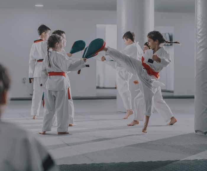 Taekwondo